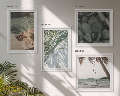 Composição de quadros Plantas tropicais para férias