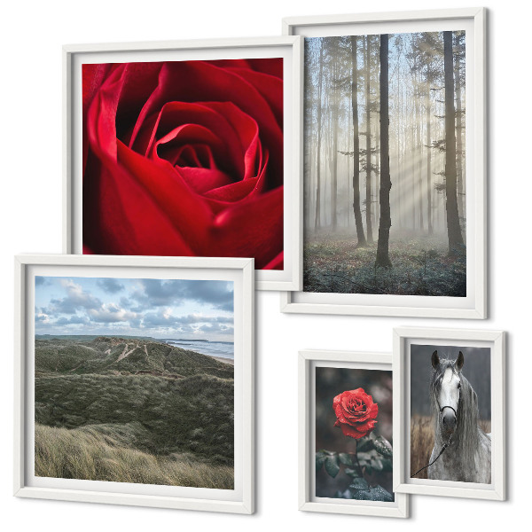 Galeria de parede Flores da natureza em diferentes estilos