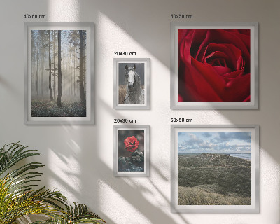 Galeria de parede Flores da natureza em diferentes estilos