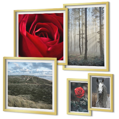 Galeria de parede Flores da natureza em diferentes estilos