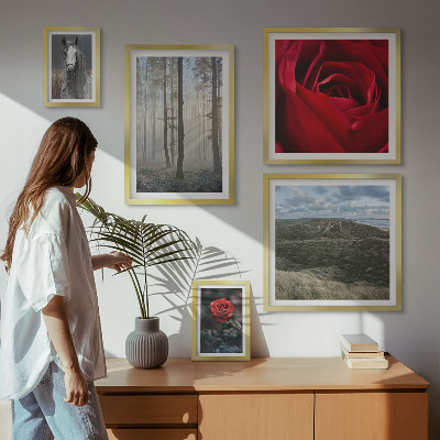 Galeria de parede Flores da natureza em diferentes estilos