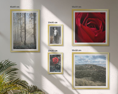 Galeria de parede Flores da natureza em diferentes estilos