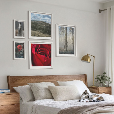 Galeria de parede Flores da natureza em diferentes estilos