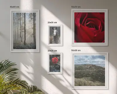 Galeria de parede com flores da natureza em diferentes estilos