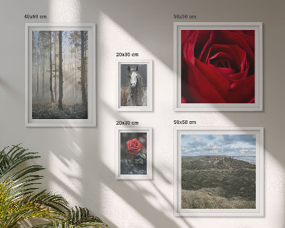 Galeria de parede Flores da natureza em diferentes estilos