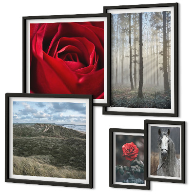 Galeria de parede Flores da natureza em diferentes estilos