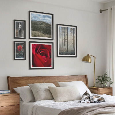Galeria de parede Flores da natureza em diferentes estilos
