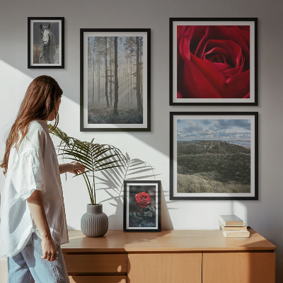 Galeria de parede Flores da natureza em diferentes estilos