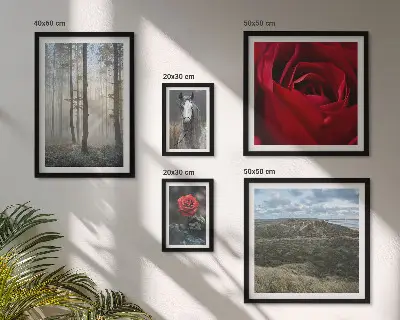Galeria de parede com flores da natureza em diferentes estilos