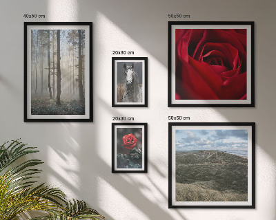 Galeria de parede Flores da natureza em diferentes estilos
