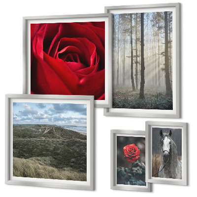 Galeria de parede Flores da natureza em diferentes estilos