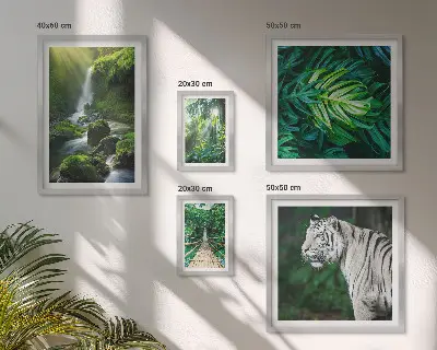 Conjunto de 5 quadros decorativos com paisagens naturais tropicais
