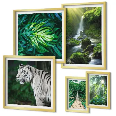 Conjunto de 5 quadros decorativos com paisagens naturais tropicais