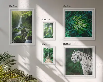 Conjunto de 5 quadros decorativos com paisagens naturais tropicais