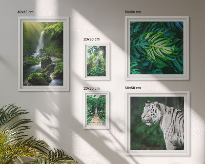 Conjunto de 5 quadros decorativos paisagens naturais tropicais