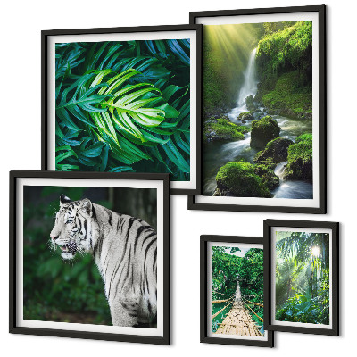 Conjunto de 5 quadros decorativos paisagens naturais tropicais