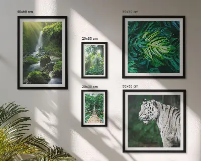 Conjunto de 5 quadros decorativos com paisagens naturais tropicais