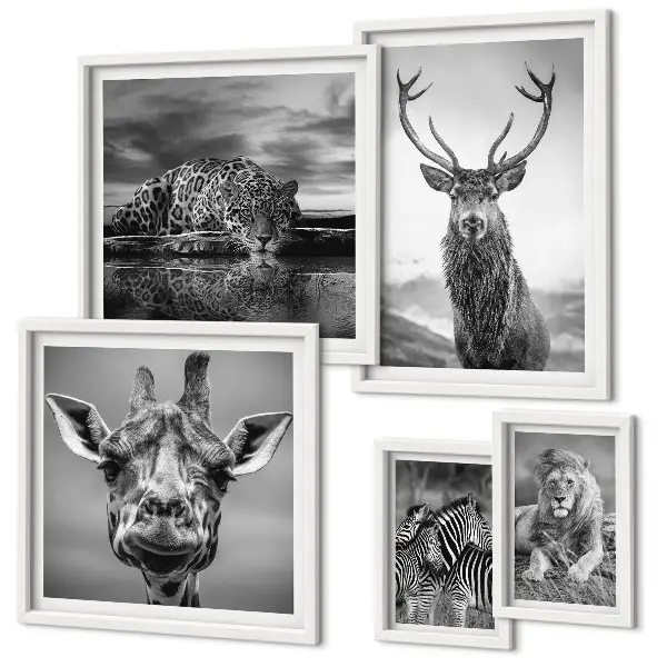 Galeria de parede animais em preto e branco com temática de natureza