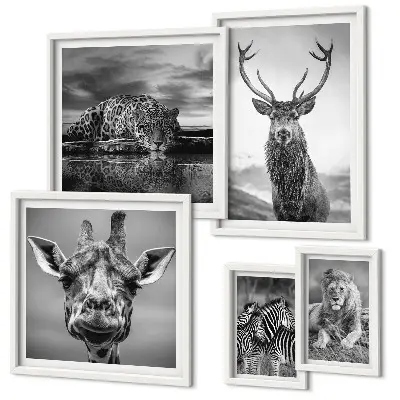 Galeria de parede animais em preto e branco com temática de natureza
