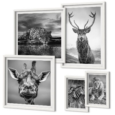 Galeria de parede Animais em preto e branco, natureza