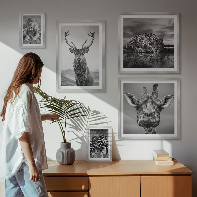 Galeria de parede Animais em preto e branco, natureza