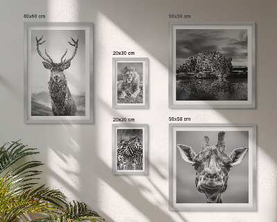 Galeria de parede Animais em preto e branco, natureza