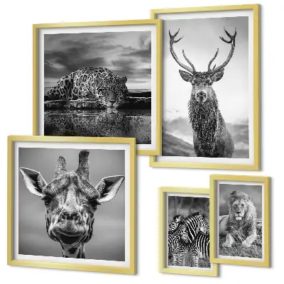 Galeria de parede animais em preto e branco com temática de natureza
