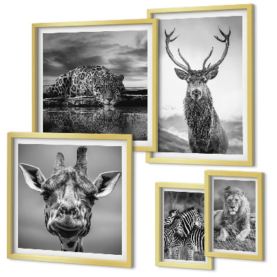 Galeria de parede Animais em preto e branco, natureza