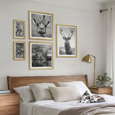 Galeria de parede Animais em preto e branco, natureza