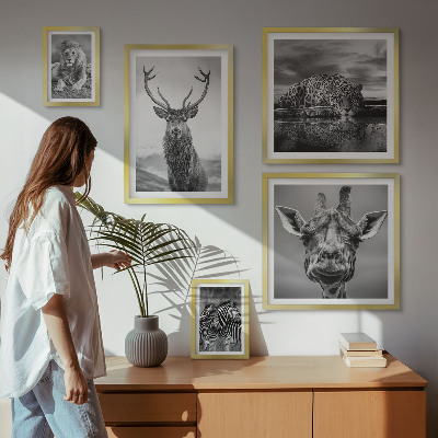 Galeria de parede Animais em preto e branco, natureza