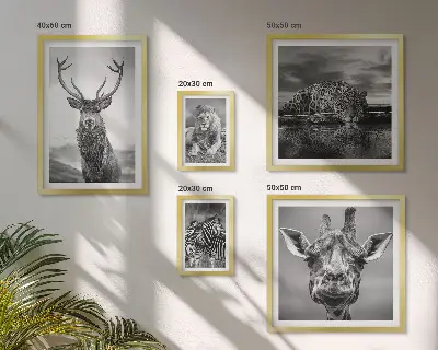 Galeria de parede animais em preto e branco com temática de natureza