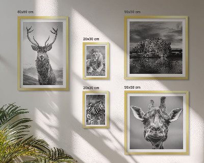 Galeria de parede Animais em preto e branco, natureza