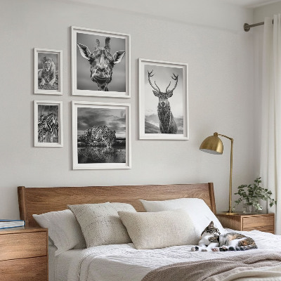 Galeria de parede Animais em preto e branco, natureza