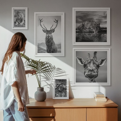 Galeria de parede Animais em preto e branco, natureza