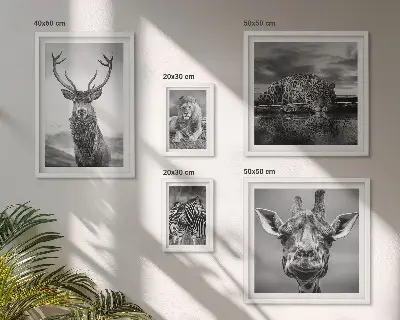 Galeria de parede animais em preto e branco com temática de natureza