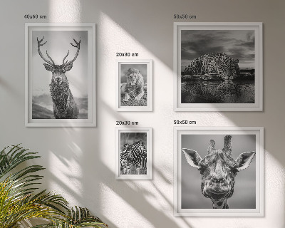 Galeria de parede Animais em preto e branco, natureza
