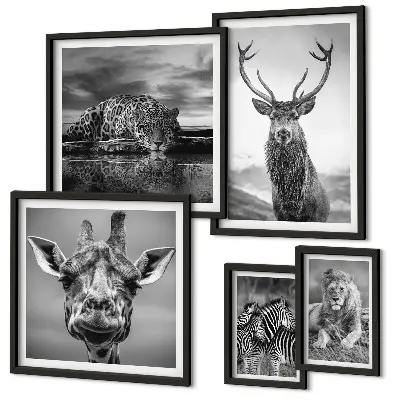 Galeria de parede animais em preto e branco com temática de natureza