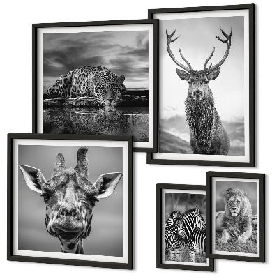 Galeria de parede Animais em preto e branco, natureza
