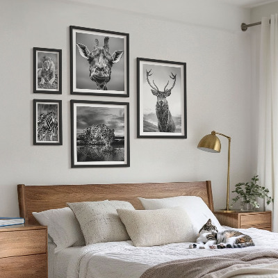 Galeria de parede Animais em preto e branco, natureza