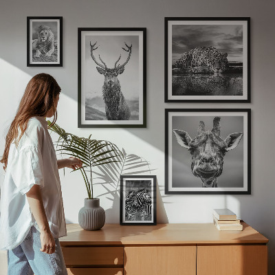 Galeria de parede Animais em preto e branco, natureza