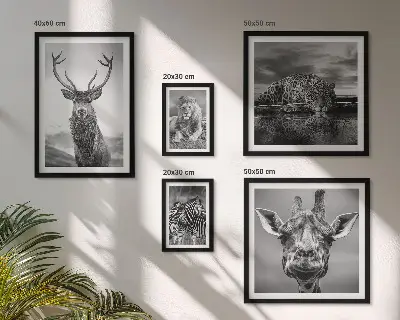 Galeria de parede animais em preto e branco com temática de natureza