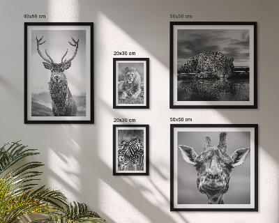 Galeria de parede Animais em preto e branco, natureza