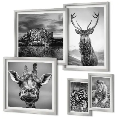Galeria de parede animais em preto e branco com temática de natureza