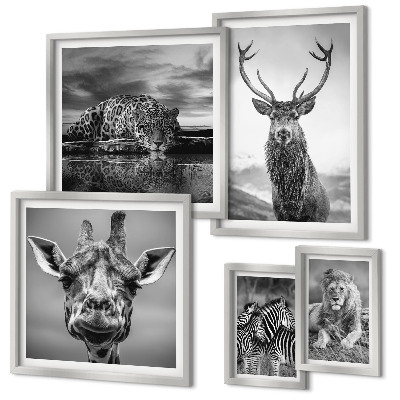 Galeria de parede Animais em preto e branco, natureza