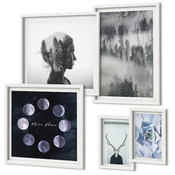 Conjunto de 5 quadros com moldura com motivos de floresta natural espacial