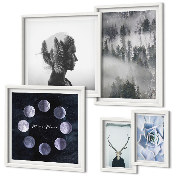 Conjunto de 5 quadros com moldura Motivos espaciais de floresta natural