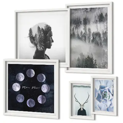 Conjunto de 5 quadros com moldura com motivos de floresta natural espacial