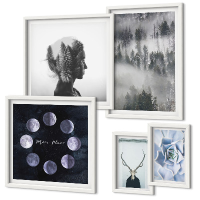 Conjunto de 5 quadros com moldura Motivos espaciais de floresta natural