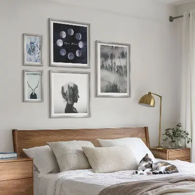 Conjunto de 5 quadros com moldura com motivos de floresta natural espacial