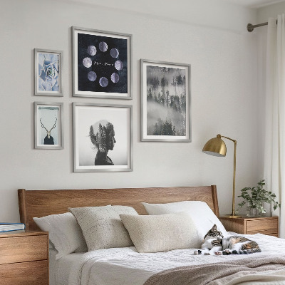 Conjunto de 5 quadros com moldura Motivos espaciais de floresta natural